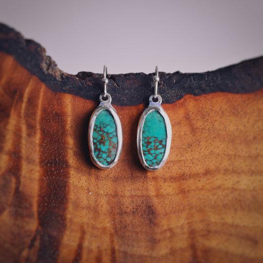 Beartooth Mountain Shepherd Hook Earrings